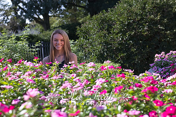 IMG_3584
